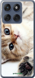 Силіконовий чехол Котик для Motorola Edge 60 Fusion 5G - 6024u-4021 изображение 