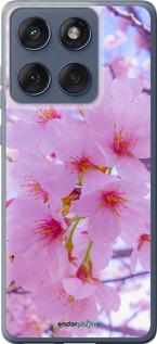 Силиконовый чехол Сакура для Motorola Edge 60 Fusion 5G - 6029u-4021 изображение 