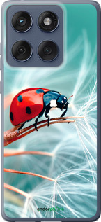 Силиконовый чехол Божья коровка для Motorola Edge 60 Fusion 5G - 6049u-4021 изображение 