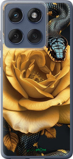 Силиконовый чехол Black snake and golden rose для Motorola Edge 60 Fusion 5G - 6068u-4021 изображение 