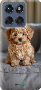 Силиконовый чехол Mini-maltipoo для Motorola Edge 60 Fusion 5G - 6158u-4021 изображение 