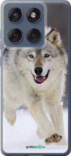 Силиконовый чехол Бегущий волк для Motorola Edge 60 Fusion 5G - 826u-4021 изображение 