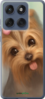 Силиконовый чехол Нарисованный йоркширский терьер для Motorola Edge 60 Fusion 5G - 928u-4021 изображение 