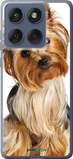 Силиконовый чехол Йоркширский терьер с хвостиком для Motorola Edge 60 Fusion 5G - 930u-4021 изображение 