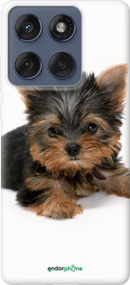 Силиконовый чехол Щенок йоркширского терьера для Motorola Edge 60 Fusion 5G - 931u-4021 изображение 