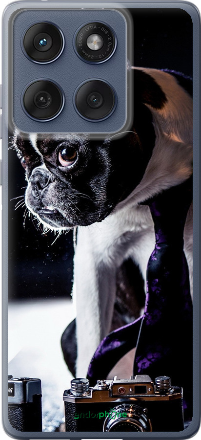 Силиконовый чехол Бульдог-фотограф для Motorola Edge 60 Fusion 5G - 142u-4021 изображение 