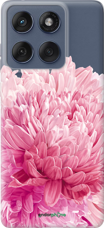 Силіконовий чехол Хризантема для Motorola Edge 60 Fusion 5G - 4666u-4021 изображение 