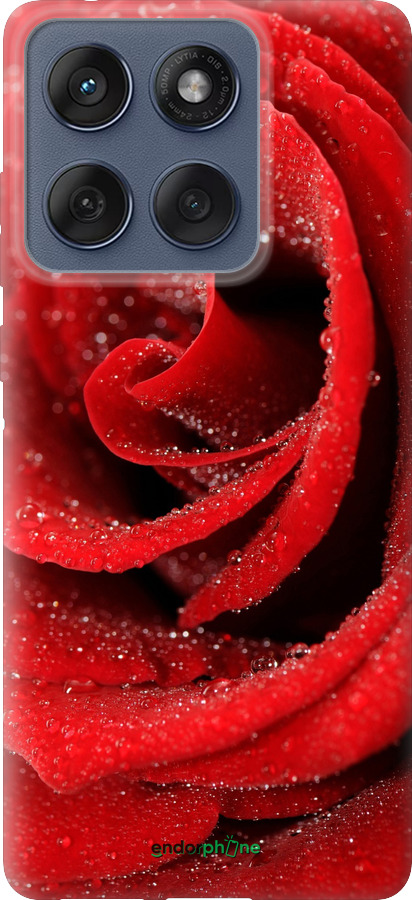 Силиконовый чехол Красная роза для Motorola Edge 60 Fusion 5G - 529u-4021 изображение 