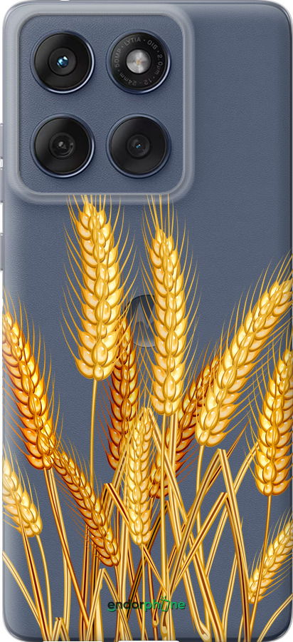 Силиконовый чехол Колоски пшеници для Motorola Edge 60 Fusion 5G - 5866u-4021 изображение 