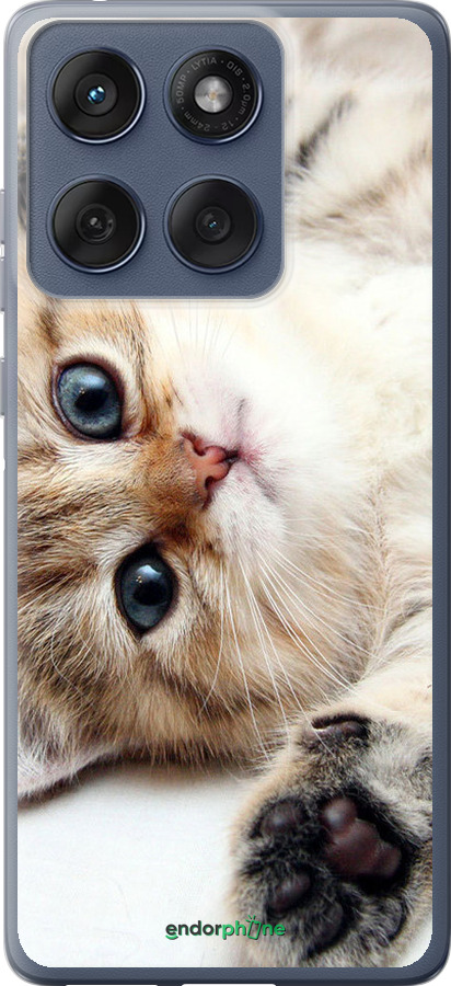 Силіконовий чехол Котик для Motorola Edge 60 Fusion 5G - 6024u-4021 изображение 