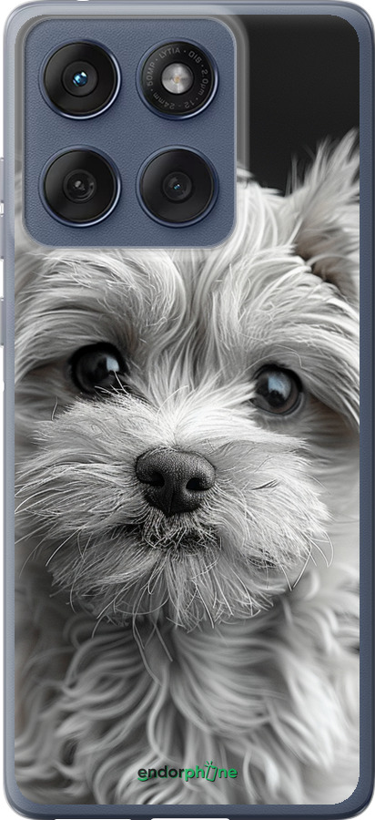 Силіконовий чехол Мальтипу на чорному фоні для Motorola Edge 60 Fusion 5G - 6156u-4021 изображение 