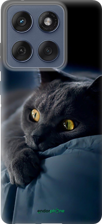 Силіконовий чехол Димчастий кіт для Motorola Edge 60 Fusion 5G - 825u-4021 изображение 