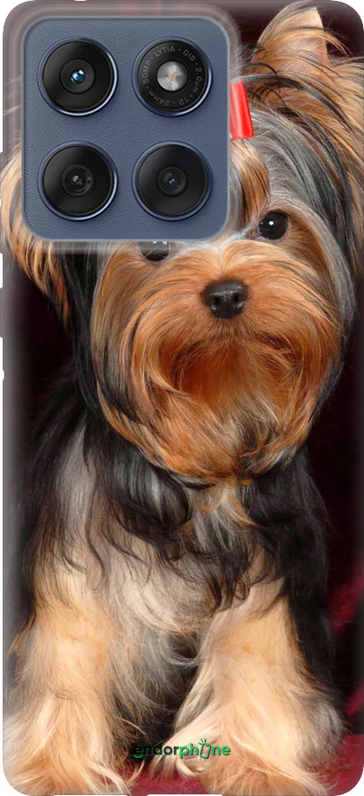 Силиконовый чехол Йоркширский терьер для Motorola Edge 60 Fusion 5G - 929u-4021 изображение 