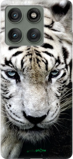 Силиконовый чехол Грустный белый тигр для Motorola Edge 60 Pro 5G - 106u-4020 изображение 