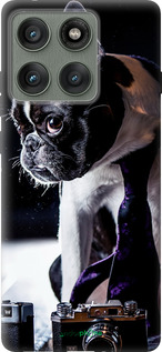 Силиконовый чехол Бульдог-фотограф для Motorola Edge 60 Pro 5G - 142u-4020 изображение 