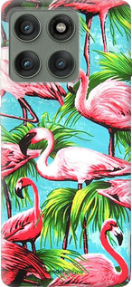 Силиконовый чехол Tropical background для Motorola Edge 60 Pro 5G - 4016u-4020 изображение 