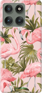 Силиконовый чехол фламинго 2 для Motorola Edge 60 Pro 5G - 4360u-4020 изображение 