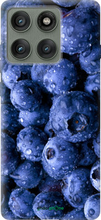 Силіконовий чехол Лохина для Motorola Edge 60 Pro 5G - 4459u-4020 изображение 