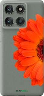 Силиконовый чехол Гербера 1 для Motorola Edge 60 Pro 5G - 4534u-4020 изображение 