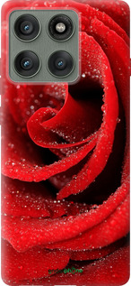 Силиконовый чехол Красная роза для Motorola Edge 60 Pro 5G - 529u-4020 изображение 