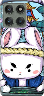 Силиконовый чехол № 5342 для Motorola Edge 60 Pro 5G - 5342u-4020 изображение 