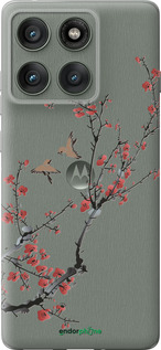 Силиконовый чехол Сакура v2 для Motorola Edge 60 Pro 5G - 5538u-4020 изображение 