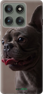 Силиконовый чехол Милый бульдог для Motorola Edge 60 Pro 5G - 5546u-4020 изображение 