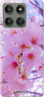 Силиконовый чехол Сакура для Motorola Edge 60 Pro 5G - 6029u-4020 изображение 