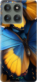 Силиконовый чехол Желто-голубые бабочки для Motorola Edge 60 Pro 5G - 6046u-4020 изображение 