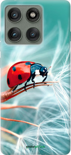 Силиконовый чехол Божья коровка для Motorola Edge 60 Pro 5G - 6049u-4020 изображение 