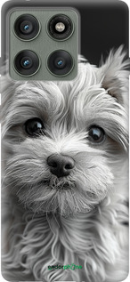 Силиконовый чехол Мальтипу на чорном фоне для Motorola Edge 60 Pro 5G - 6156u-4020 изображение 