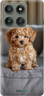 Силиконовый чехол Mini-maltipoo для Motorola Edge 60 Pro 5G - 6158u-4020 изображение 