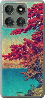 Силиконовый чехол С изображением природы для Motorola Edge 60 Pro 5G - 6469u-4020 изображение 