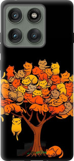 Силиконовый чехол Дерево и котики для Motorola Edge 60 Pro 5G - 6516u-4020 изображение 