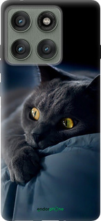 Силіконовий чохол 'Димчастий кіт' для Motorola Edge 60 Pro 5G зображення 2