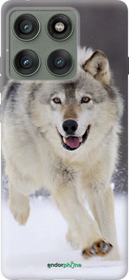 Силіконовий чехол Вовк, що біжить для Motorola Edge 60 Pro 5G - 826u-4020 изображение 
