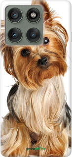 Силиконовый чехол Йоркширский терьер с хвостиком для Motorola Edge 60 Pro 5G - 930u-4020 изображение 