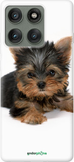 Силиконовый чехол Щенок йоркширского терьера для Motorola Edge 60 Pro 5G - 931u-4020 изображение 