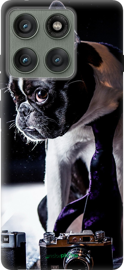 Силиконовый чехол Бульдог-фотограф для Motorola Edge 60 Pro 5G - 142u-4020 изображение 