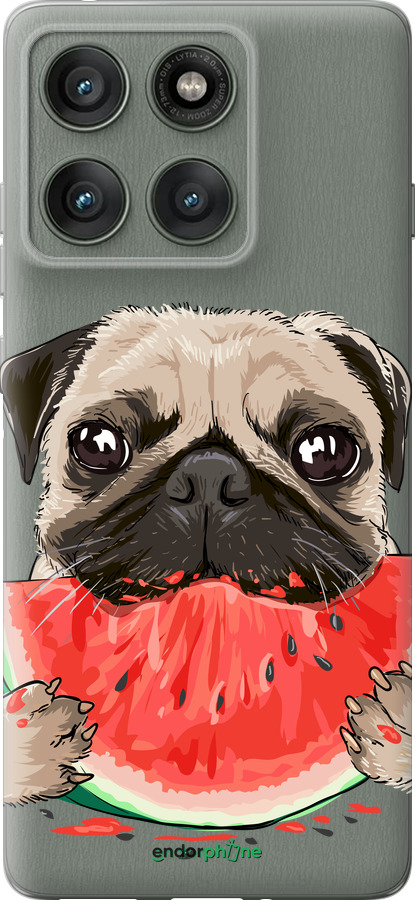 Силиконовый чехол Мопс и арбуз для Motorola Edge 60 Pro 5G - 4665u-4020 изображение 