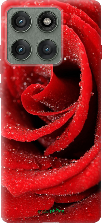 Силиконовый чехол Красная роза для Motorola Edge 60 Pro 5G - 529u-4020 изображение 