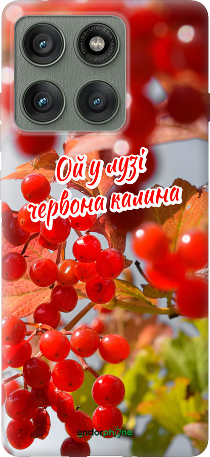 Силиконовый чехол Калина для Motorola Edge 60 Pro 5G - 5454u-4020 изображение 