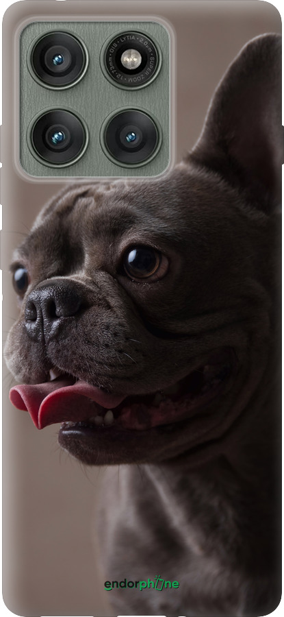 Силиконовый чехол Милый бульдог для Motorola Edge 60 Pro 5G - 5546u-4020 изображение 