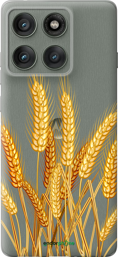Силіконовий чехол Колоски пшениці для Motorola Edge 60 Pro 5G - 5866u-4020 изображение 