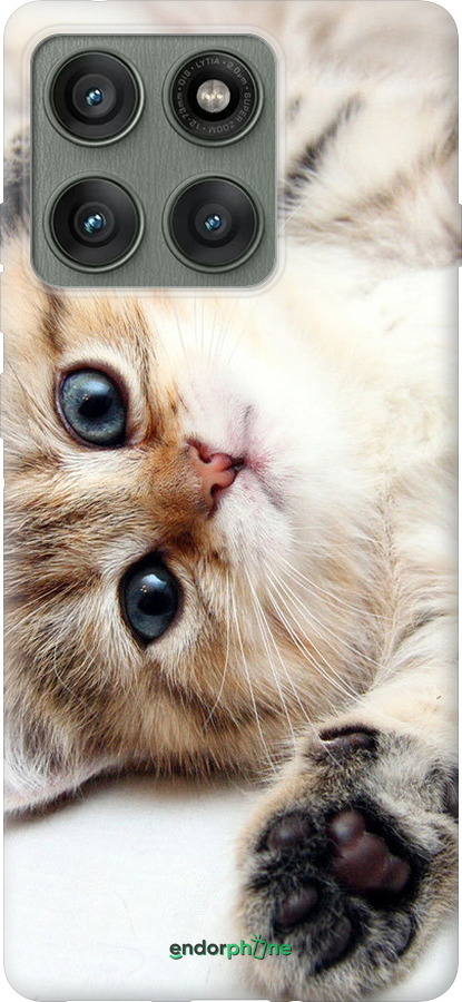 Силиконовый чехол Котик для Motorola Edge 60 Pro 5G - 6024u-4020 изображение 