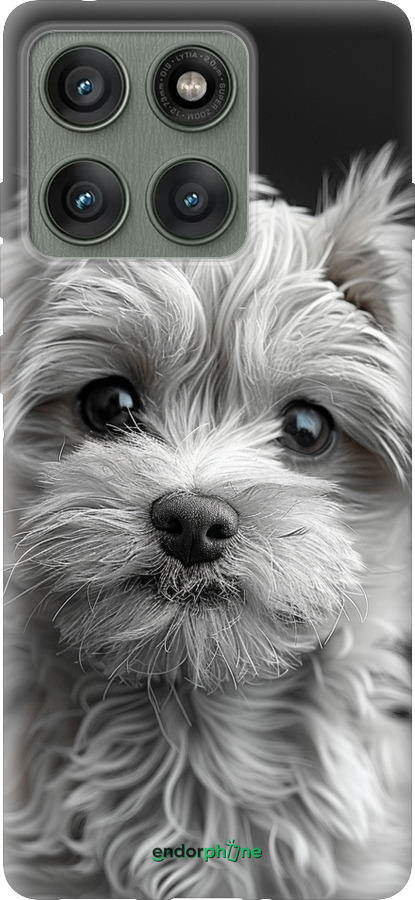 Силиконовый чехол Мальтипу на чорном фоне для Motorola Edge 60 Pro 5G - 6156u-4020 изображение 