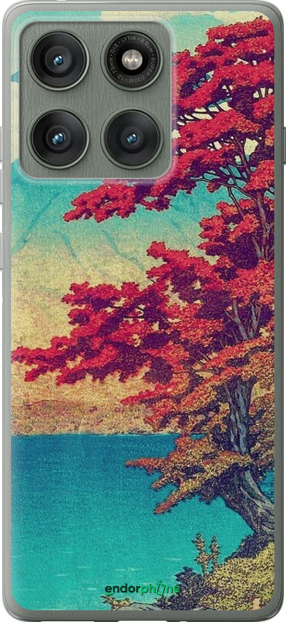 Силиконовый чехол С изображением природы для Motorola Edge 60 Pro 5G - 6469u-4020 изображение 