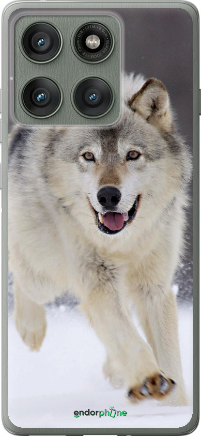 Силіконовий чехол Вовк, що біжить для Motorola Edge 60 Pro 5G - 826u-4020 изображение 