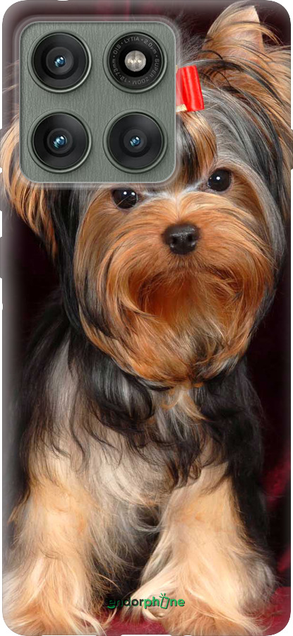 Силиконовый чехол Йоркширский терьер для Motorola Edge 60 Pro 5G - 929u-4020 изображение 