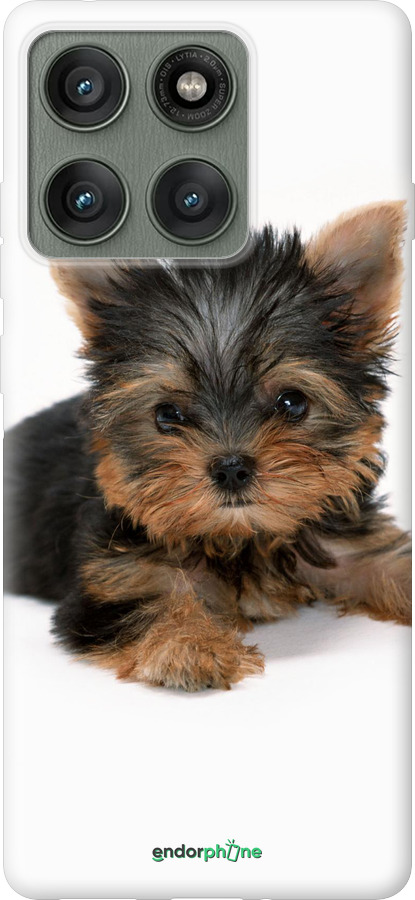 Силиконовый чехол Щенок йоркширского терьера для Motorola Edge 60 Pro 5G - 931u-4020 изображение 